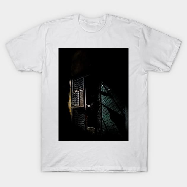 Step To The Fence T-Shirt by PaulLu